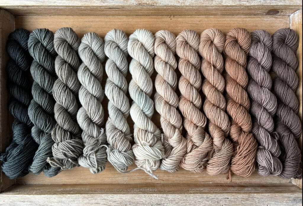 A wooden tray from Hidden Pond Yarns holds fifteen neatly arranged skeins in various earthy tones, ranging from dark green on the left to shades of brown on the right. The yarns are twisted into uniform spirals, creating a gradient effect across the tray.