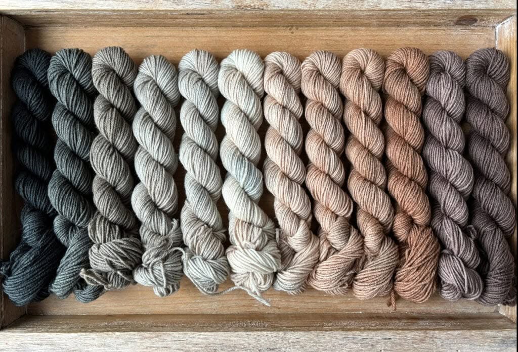 A wooden tray from Hidden Pond Yarns holds fifteen neatly arranged skeins in various earthy tones, ranging from dark green on the left to shades of brown on the right. The yarns are twisted into uniform spirals, creating a gradient effect across the tray.